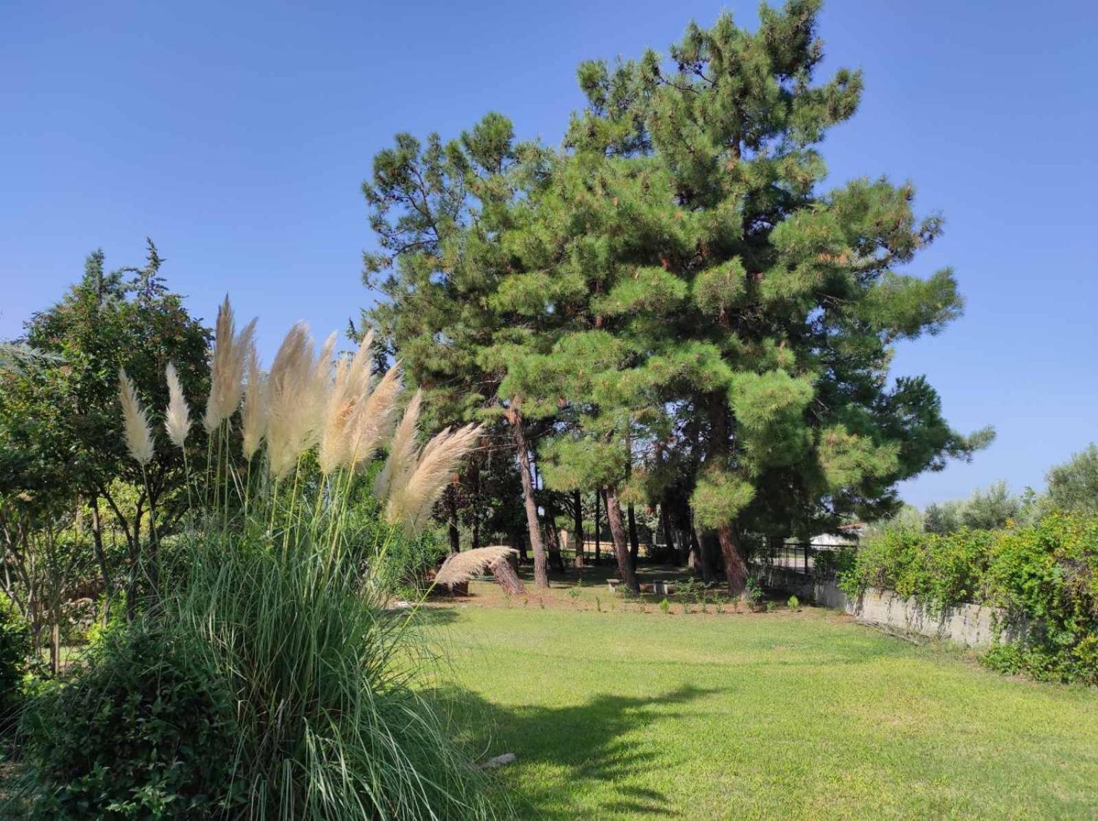 Pond And Pines, By Nice House By The Sea! Epanomi Exterior foto